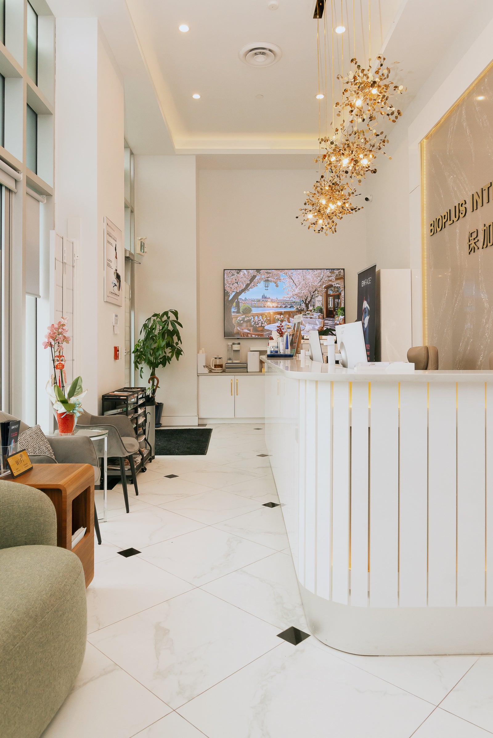 BioPlus consultation experience